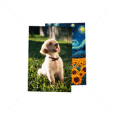 Lámina Metálica Sublimada