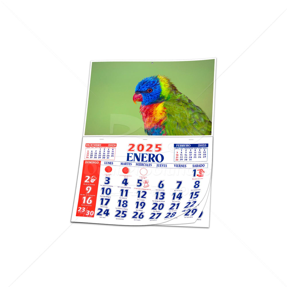 Calendario Santoral 12x20 PLG