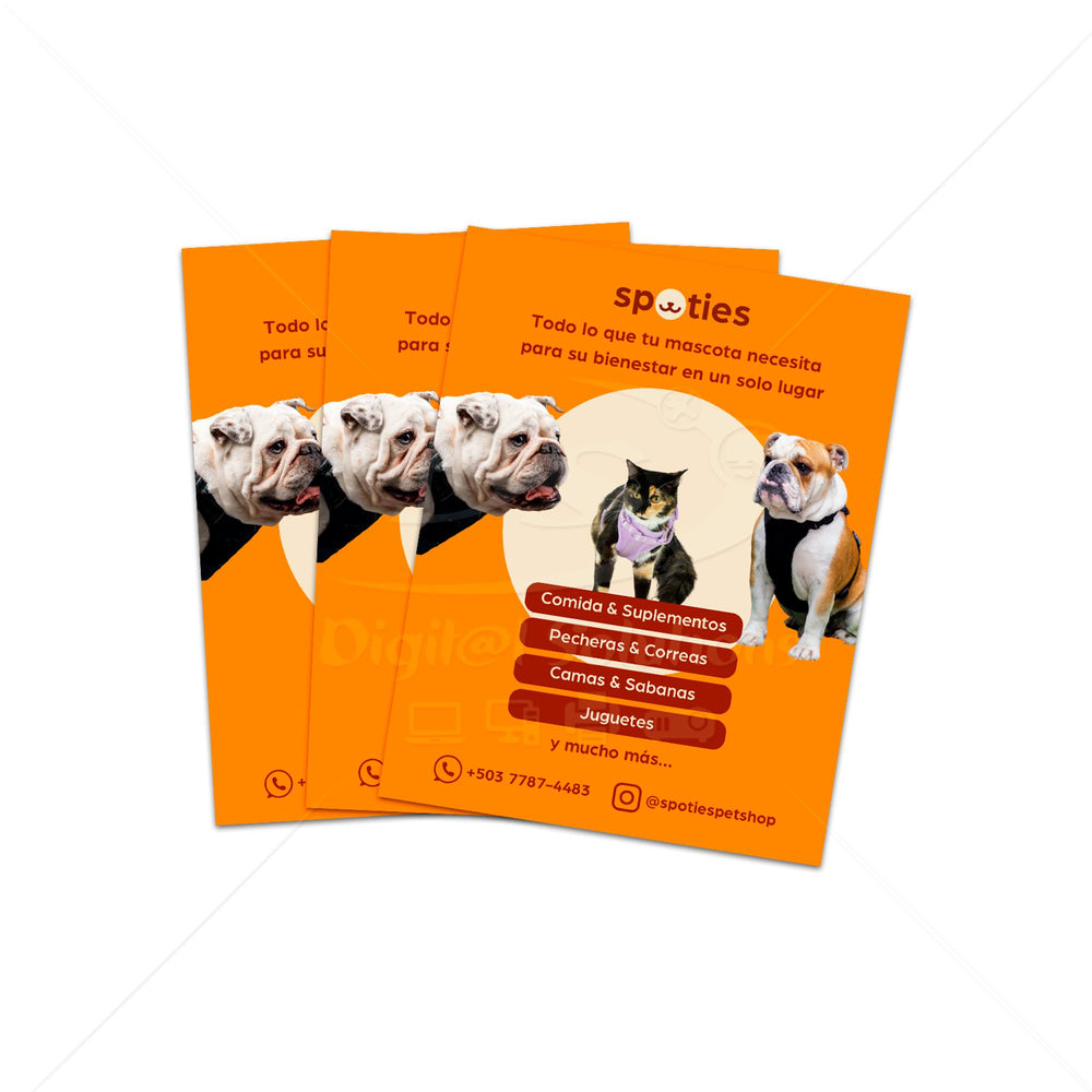 Flyers Publicitarios