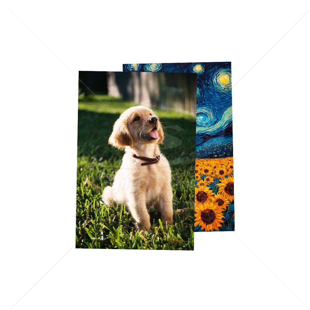 Lámina Metálica Sublimada