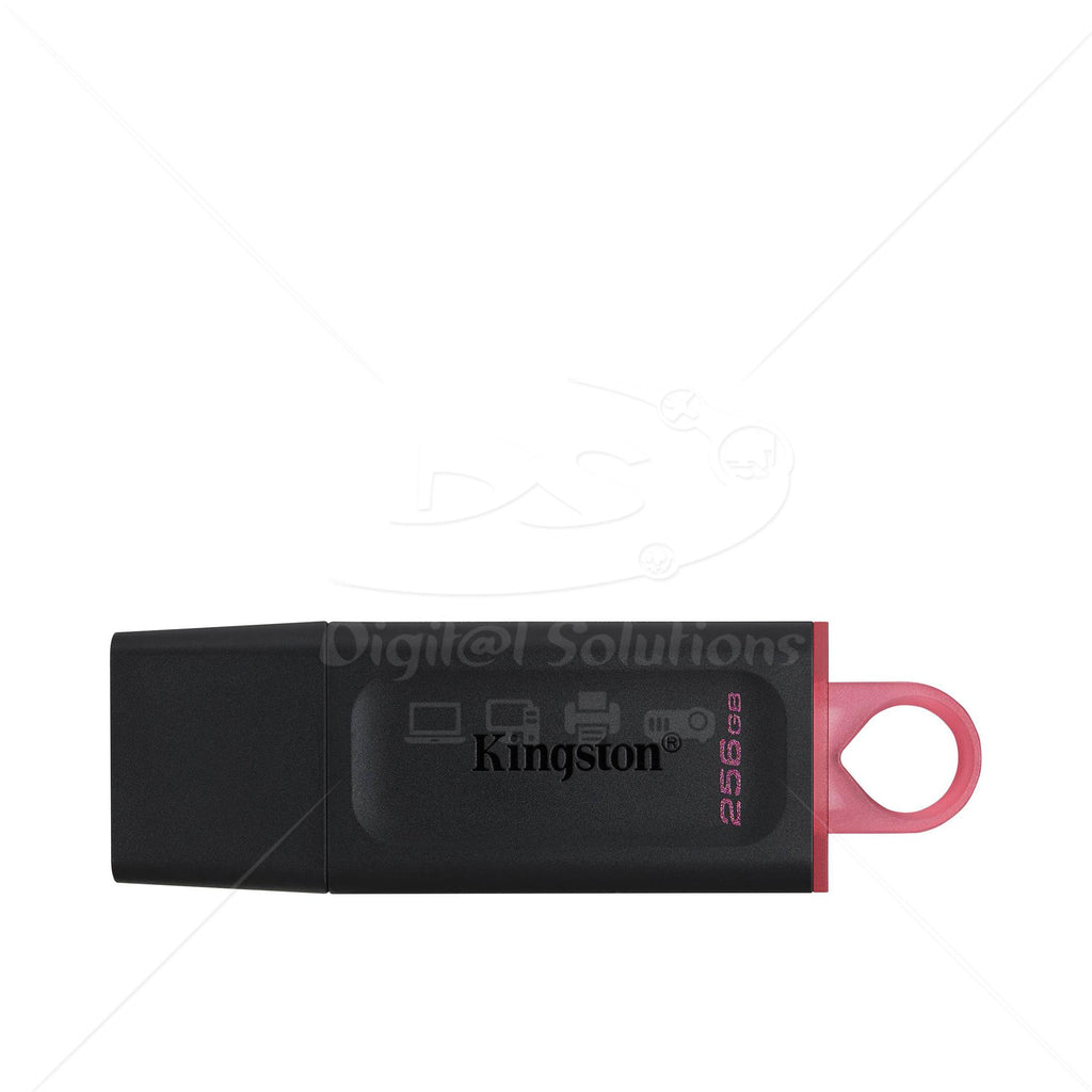 Kingston DTX / 256GB USB Flash Drive