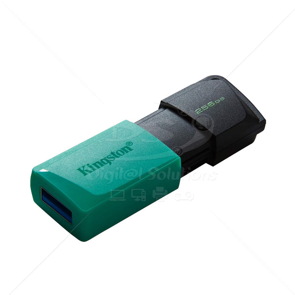 Memoria USB Kingston DTXM/256GB
