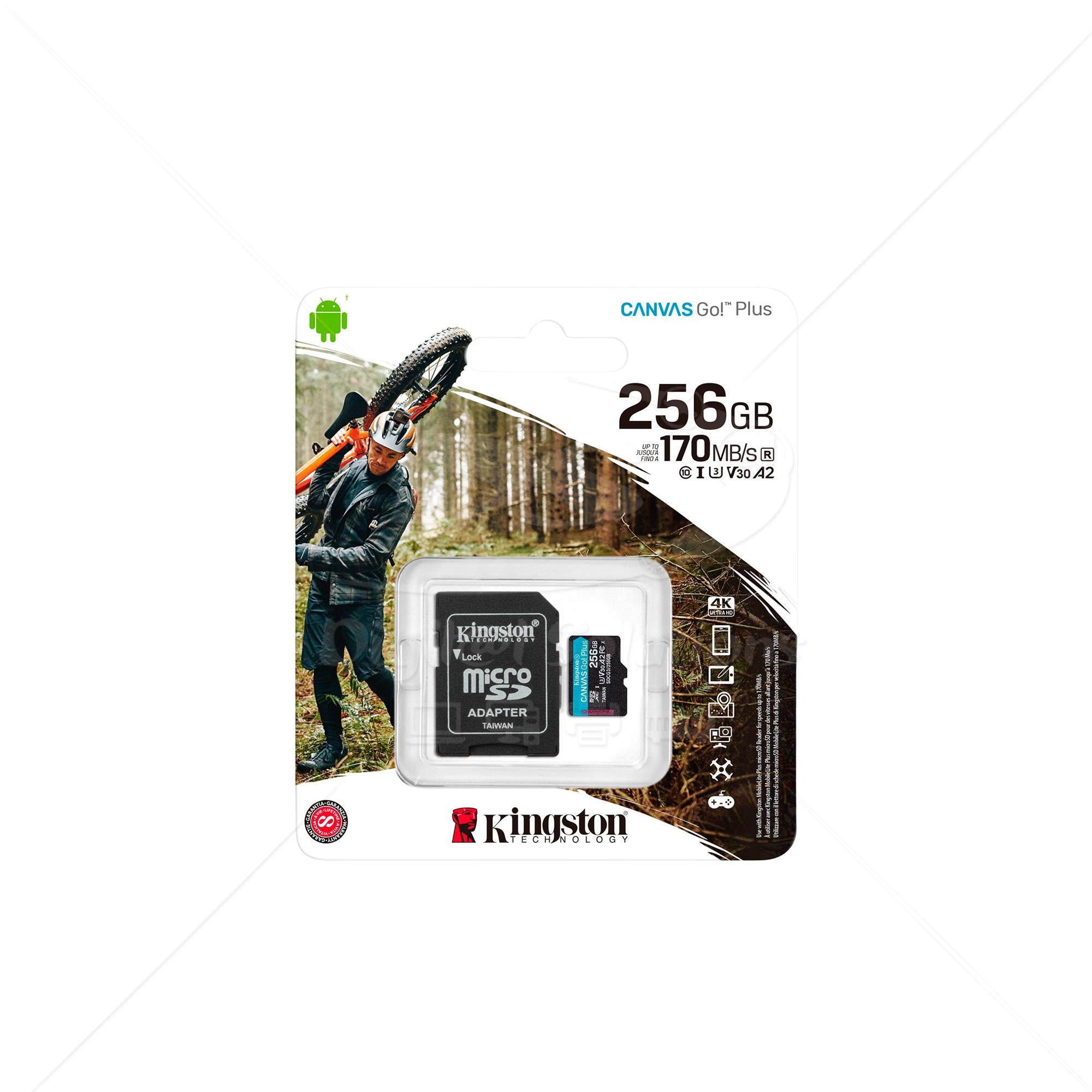 Memoria microSD 256GB Kingston SDCG3/256GB C10