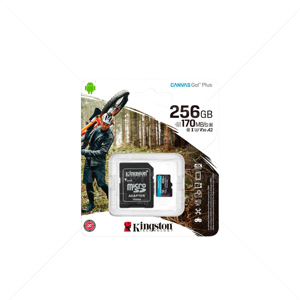 Memoria microSD 256GB Kingston SDCG3/256GB C10