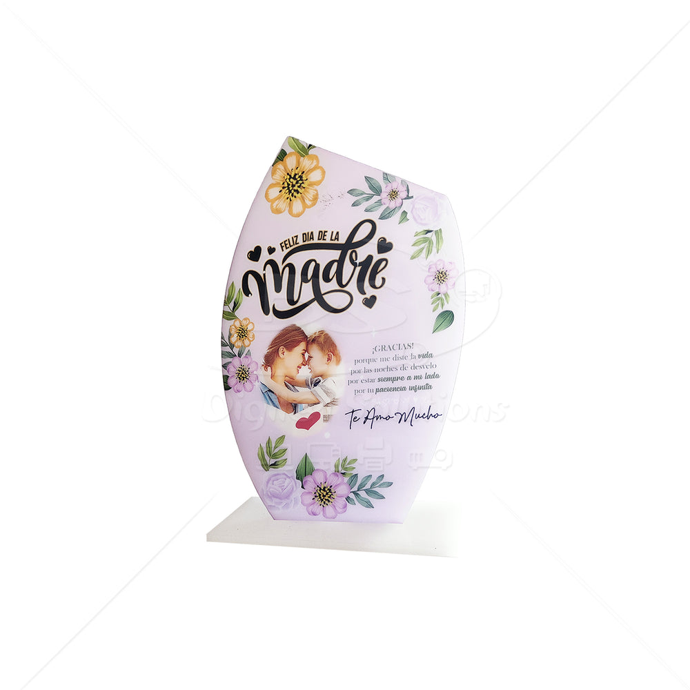 Placas de Reconocimiento